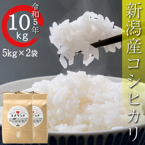 令和5年 10kg コシヒカリ 米 新潟産 お米 こしひかり