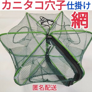 仕掛け網中サイズ、カニタコ穴子根魚ウナギ狙い