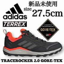 GORE-TEX 27.5cm 新品未使用 adidas TERREX アディダス テレックス トレースロッカー 2 ゴアテックス GTX 登山 トレイル ハイキング 箱有り_画像1