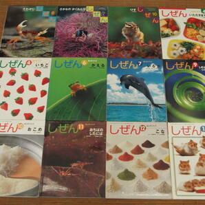 キンダーブックしぜん 35冊セット「てんとうむし/うみのいきものクイズ/いろ」他 2003年(第32集)～2018年(第47集)フレーベル館の画像2