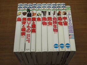 小学館の図鑑 NEO 11冊 動物 魚 鳥 昆虫 宇宙(DVD付) 恐竜(DVD付) 危険生物 飼育と観察 星と星座 乗りもの ふしぎの図鑑