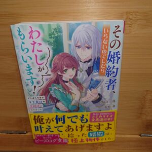 その婚約者、いらないのでしたらわたしがもらいます！　ずたぼろ令息が天下無双の旦那様になりました 氷山三真 ビーズログ文庫 