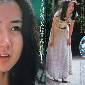 月刊明星 1975年（昭和50年）8月号 表紙・桜田淳子／ずうとるび 岡田奈々、郷ひろみ、西城秀樹、山口百恵、キャンディーズ他の画像10