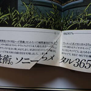 GORO 1980年（昭和55年） 2冊 5月8日号No.10/6月12日号No.12 石川ひとみ、相本久美子、岩崎良美、宮崎美子、松田聖子他の画像6