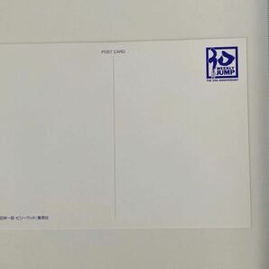 ポストカード ワンピース ONE PIECE 週刊少年ジャンプ 30周年記念 尾田英一朗 集英社 イラスト 未使用 ハガキの画像3