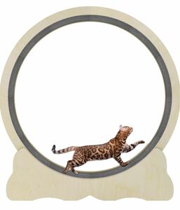 キャットホイール 猫の車輪 M 直径90センチメートル 中型 センチメートル 室内飼い猫の運動不足解消のために 猫 ホイール 猫 
