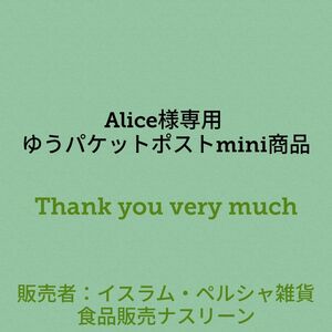 Alice様専用 ゆうパケットポストmini商品