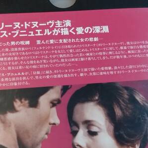 ◎DVD ルイス・ブニュエル「哀しみのトリスターナ」 カトリーヌ・ドヌーヴ/フェルナンド・レイ R落の画像4