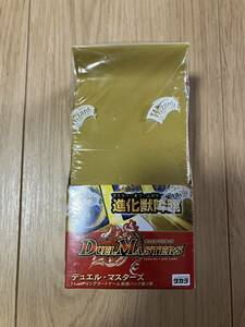 DUEL MASTERS DM-02 進化獣降臨　未開封ボックス