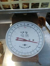 山梨県産　たけのこ　竹の子　4kg_画像3