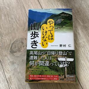 やってはいけない山歩き （青春新書ＰＬＡＹ　ＢＯＯＫＳ　Ｐ－１０６９） 野村仁／著