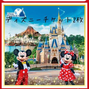 ディズニーチケット　ペア2枚