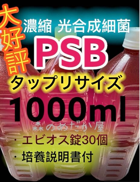 光合成細菌 PSB エビオス錠 ゾウリムシ タマミジンコ めだか 針子 培養 エサ 