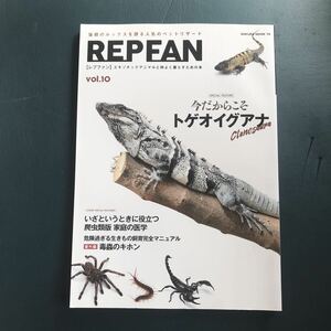 Rep Fan 10 Togeoiguana Полный анализ Reepin