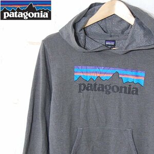 パタゴニア patagonia■ライトウェイト・グラフィック・フーディ・スウェットシャツ■L■グレー ※NK4328334