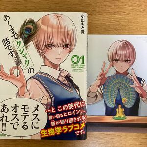 【メロンブックス特典付】あくまでクジャクの話です。　1巻　小出もと貴　モーニングKC【初版帯付】