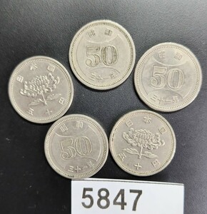 5847　昭和31年大型菊穴無し50円硬貨 5枚