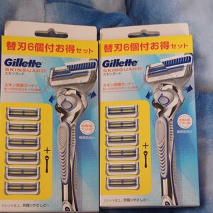 Gillette SKINGUARD ジレット スキンガード マニュアルホルダー 敏感肌向け カミソリ 替刃 6個付 2セット