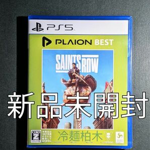 新品 PS5 Saints Row（セインツロウ） PLAION BEST