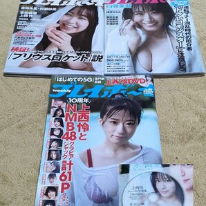 週刊プレイボーイ NMB48 特集号 3冊セット DVD付録付 上西怜 白間美瑠 小嶋花梨 横野すみれ 塩月希依音 安部若菜