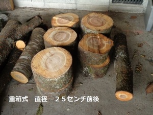 ナメコの成る木 ホダ木 1年物 そめいよしの 重箱式 20kg～24kg入り：2個～3個組