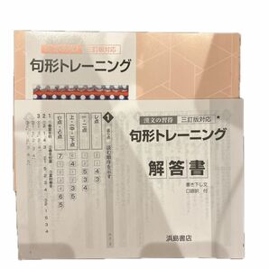 漢文の習得　句形トレーニング　浜島書店