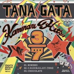 ★新品即決★浅草発呑み会系ロッカビリーバンド「TANAGATA」Frantic Brown Beat