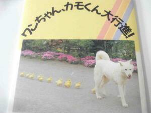 * не использовался one Chan, утка kun большой line .. ввод открытка открытка открытка 5 листов комплект .. рисовое поле горячие источники Miyagi Akita собака утка ***