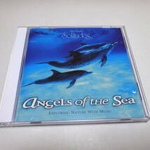輸入盤/Solitudes「ダン・ギブソン / Angels Of The Sea」Dan Gibson/ソリチューズ/自然音_画像1