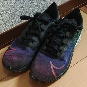 NIKE ナイキ　ペガサス　27cm