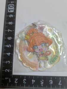 プリキュアシリーズ　アクリルポールチェーンマスコット　ナイロン未開封　中古