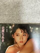 週刊プレイボーイ　1984年　昭和54年2月7日 鳥越マリ　松田聖子ピンナップ　松坂慶子　北原ちあき_画像8