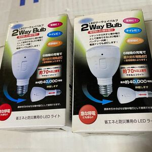 新品 2個セット ハロッズ 電球型LED懐中電灯 2WAY Bulb　HL-2WB/KH