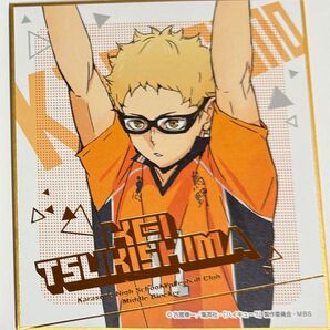 ハイキュー!! ビジュアル色紙コレクション6 月島
