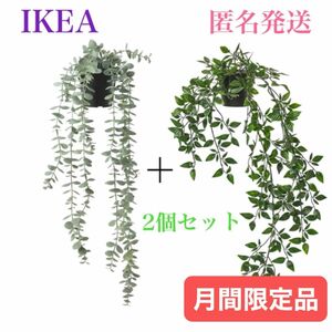 【新品 】IKEA イケア フェイカ 人工観葉植物 つり下げ型 ２種セット 吊り下げ紐や鉢は付いてません。フェイクグリーン 造花