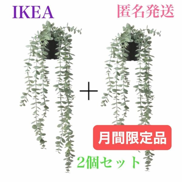 【新品・人気のセット！】IKEA イケア フェイカ 人工観葉植物 つり下げ型9 cm２個セット フェイクグリーン 観葉植物