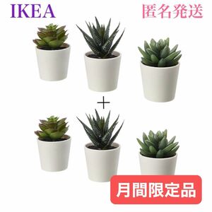 【新品】IKEA イケア フェイカ 人工観葉植物 フェイクグリーン鉢カバー付き 6cm 3ピース×2セットです♪ 