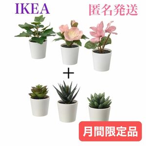 【新品】イケア IKEA フェイクグリーン フェイカ 鉢カバー付き6 cm 3ピース× 2種セット 人工観葉植物 観葉植物