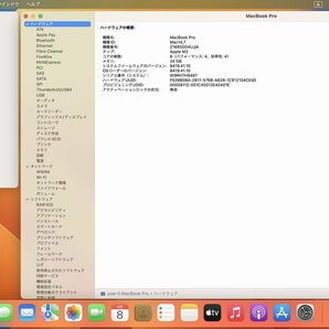 開始価格1円 Apple MacBook Pro（13-inch,M2,2022）スペースグレイ A2338 M2 10コアGPU/24GB/256GB 充放電3回 AppleCare+加入個体の画像7