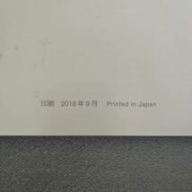 日産 ニッサン オリジナルナビゲーション 取説 取扱説明書 NISSAN MM518D-L MM518D-W MM318D-W MM318D-L MM318D-A _画像5