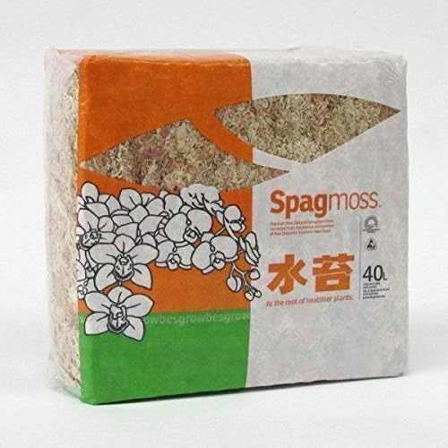 水苔　ニュージーランド産　圧縮水苔　500g（４０L）園芸用