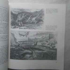 先史時代の世界 動植物/化石・恐竜画 洋書Scenes from Deep Time ジョン・マーティン/Georges Cuvier/William Conybeare/Henry De la Becheの画像4