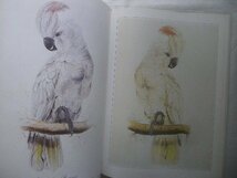 エドワード・リア 鳥の絵 洋書 鳥類画 画集 Edward Lear's Birds オウム/フクロウ/ハヤブサ/ハゲワシ/ペリカン/猛禽/水鳥類_画像5