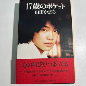 【中古】１７歳のポケット 山田かまち／著