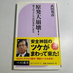 【中古】原発大崩壊！　第２のフクシマは日本中にある （ベスト新書　３２９） 武田邦彦／著