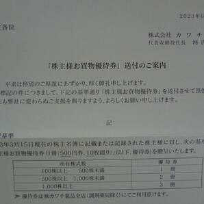 カワチ薬品 株主優待券 10000円分【送料無料】 お買物優待券 ドラッグストアの画像4