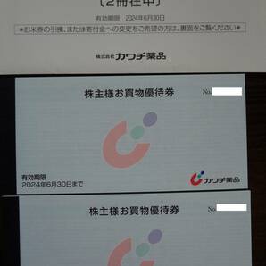 カワチ薬品 株主優待券 10000円分【送料無料】 お買物優待券 ドラッグストアの画像1