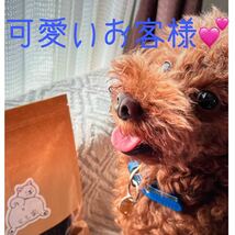 一人のお客様を大切にしたい★鹿肉ジャーキー300g★食べ応え十分!★愛犬のおやつ_画像4