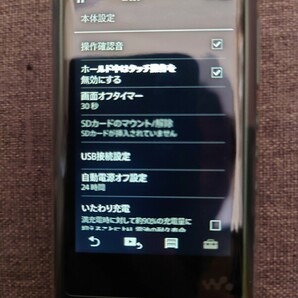 SONY NW-A55 (G) [16GB ホライズングリーン]（新品未使用）海外モデルの画像4
