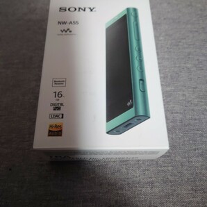 SONY NW-A55 (G) [16GB ホライズングリーン]（新品未使用）海外モデルの画像7